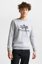 Alpha Industries Sweatshirt Basic Sweater Kids Grå