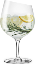 Gin Home Tableware Glass Wine Glass Dessert Wine Glasses Nude Eva Solo