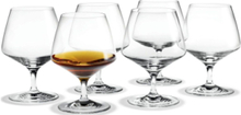 Perfection Cognacglas 36 Cl 6 Stk. Home Tableware Glass Whiskey & Cognac Glass Nude Holmegaard