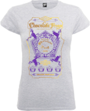 Harry Potter Honeydukes Purple Chocolate Frogs Women's Grey T-Shirt - S