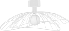 Plafond/Vägglampa Ray 60 cm
