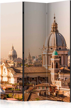 Skærmvæg Rome - bird's eye view