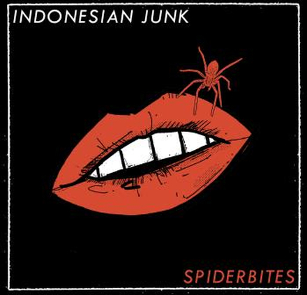 Indonesian Junk: Spiderbites