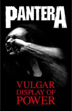 Pantera: Textile Poster/Vulgar Display Of Power