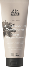 Anti-Dandruff Sweet Ginger Flower Conditi R Hår Conditi R Balsam Nude Urtekram*Betinget Tilbud
