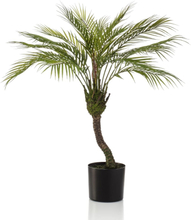 Emerald Konstväxt Chamaedorea Palm i kruka 85 cm