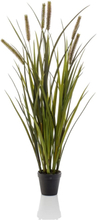 Emerald Konstväxt Cattails Grass i kruka 85 cm