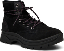 Womens Bobs Broadies - Rockin Gal Shoes Boots Ankle Boots Laced Boots Svart Skechers*Betinget Tilbud