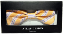 Atlas Design - Yellow Stripes Fluga med Presentbox