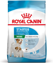 Royal Canin Mini Starter Mother & Babydog - Sparpaket: 2 x 8 kg