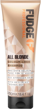 All Blonde Colour Lock Shampoo Beauty WOMEN Hair Care Silver Shampoo Nude Fudge*Betinget Tilbud