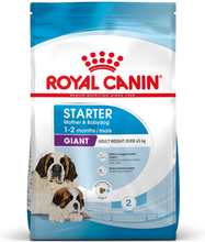 Royal Canin Giant Starter Mother & Babydog - 15 kg