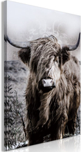 Billede - Highland Cow in Sepia - 40 x 60 cm