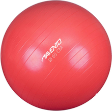 Avento Fitnessball diameter 65 cm rosa