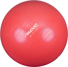 Avento Fitnessball diameter 75 cm rosa