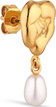 Drippy Earstud With Pearl Pendant Designers Jewellery Earrings Pendants Earrings Gold Jane Koenig